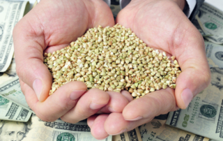 VASEY Facility Solutions - Agricultural/Grain