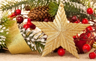 VASEY Facility Solutions - Happy Holidays