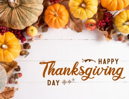 Happy Thanksgiving from the VASEY Team!