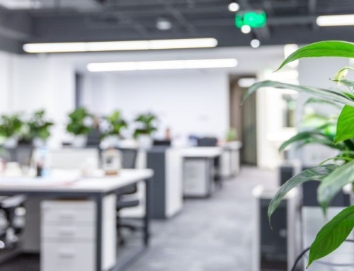 Indoor Air Quality and Employee Health: What Every Facility Manager Should Know