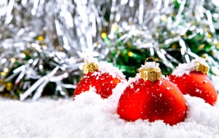 VASEY Facility Solutions - Happy Holidays