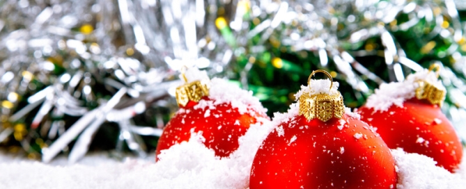 VASEY Facility Solutions - Happy Holidays