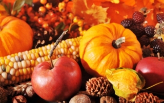 VASEY Facility Solutions - Happy Thanksgiving