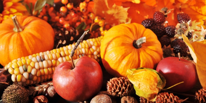 VASEY Facility Solutions - Happy Thanksgiving